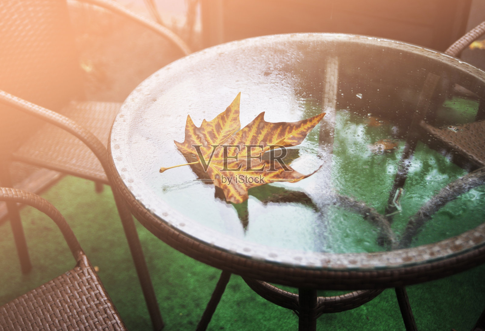 背景上的秋叶。照片摄影图片