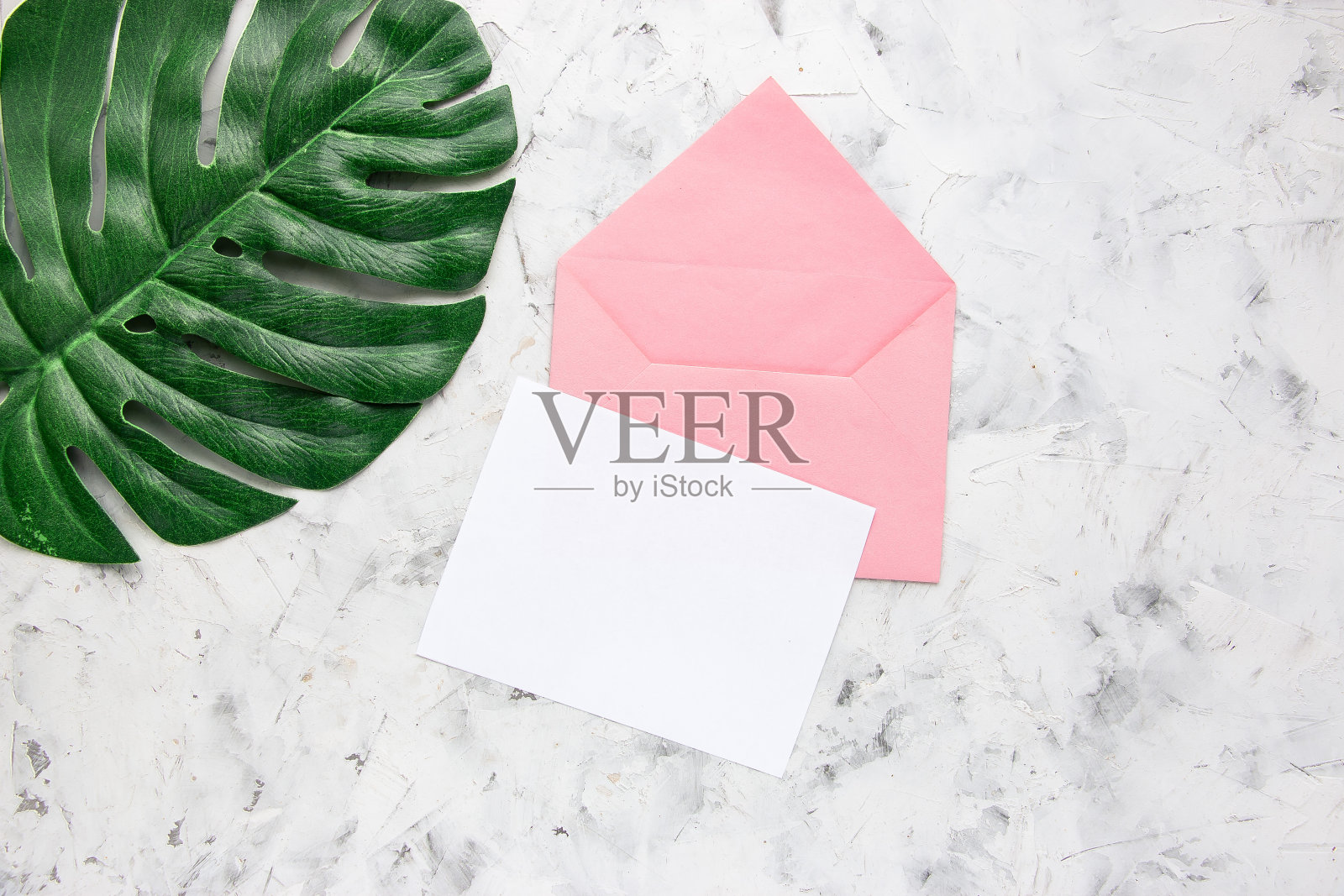 粉红色信封与白色空白卡和绿色的怪物叶在白色混凝土背景。平躺,俯视图。照片摄影图片