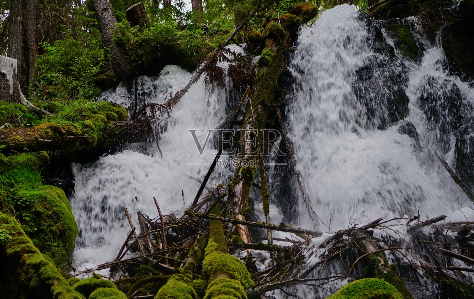 南俄勒冈泉水照片摄影图片