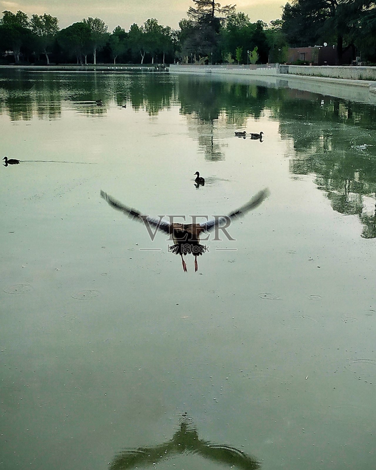 低飞行照片摄影图片