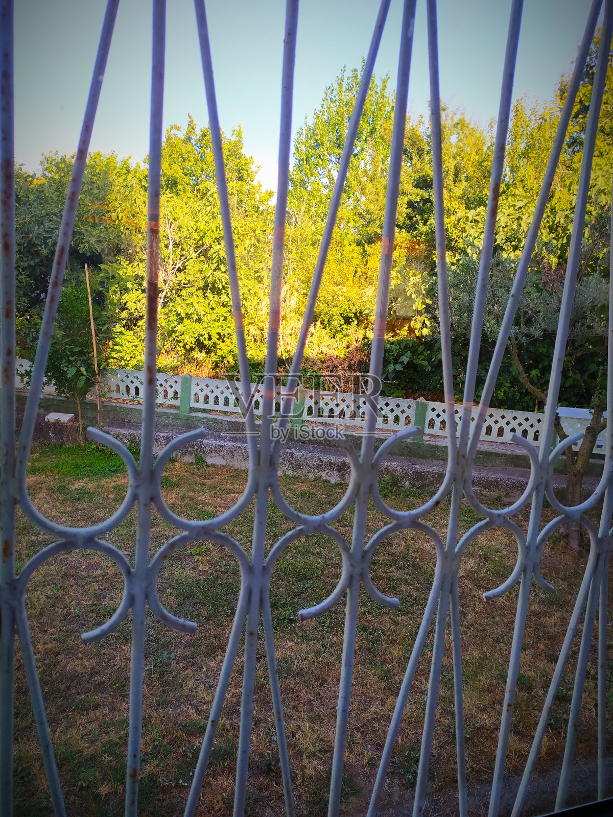 透过铁栅栏,花园的壮丽景色照片摄影图片