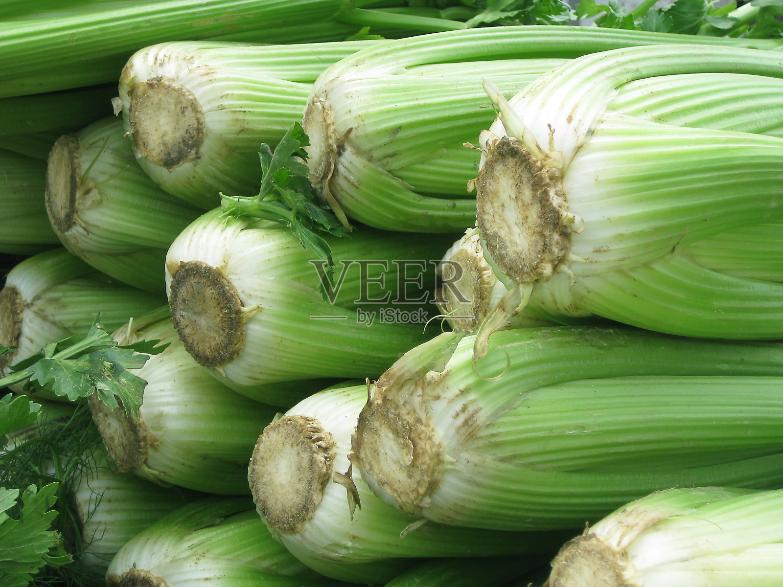 芹菜拉我们照片摄影图片