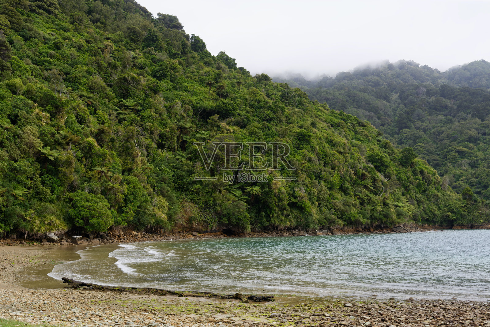 新西兰马尔伯尔海峡的船湾照片摄影图片