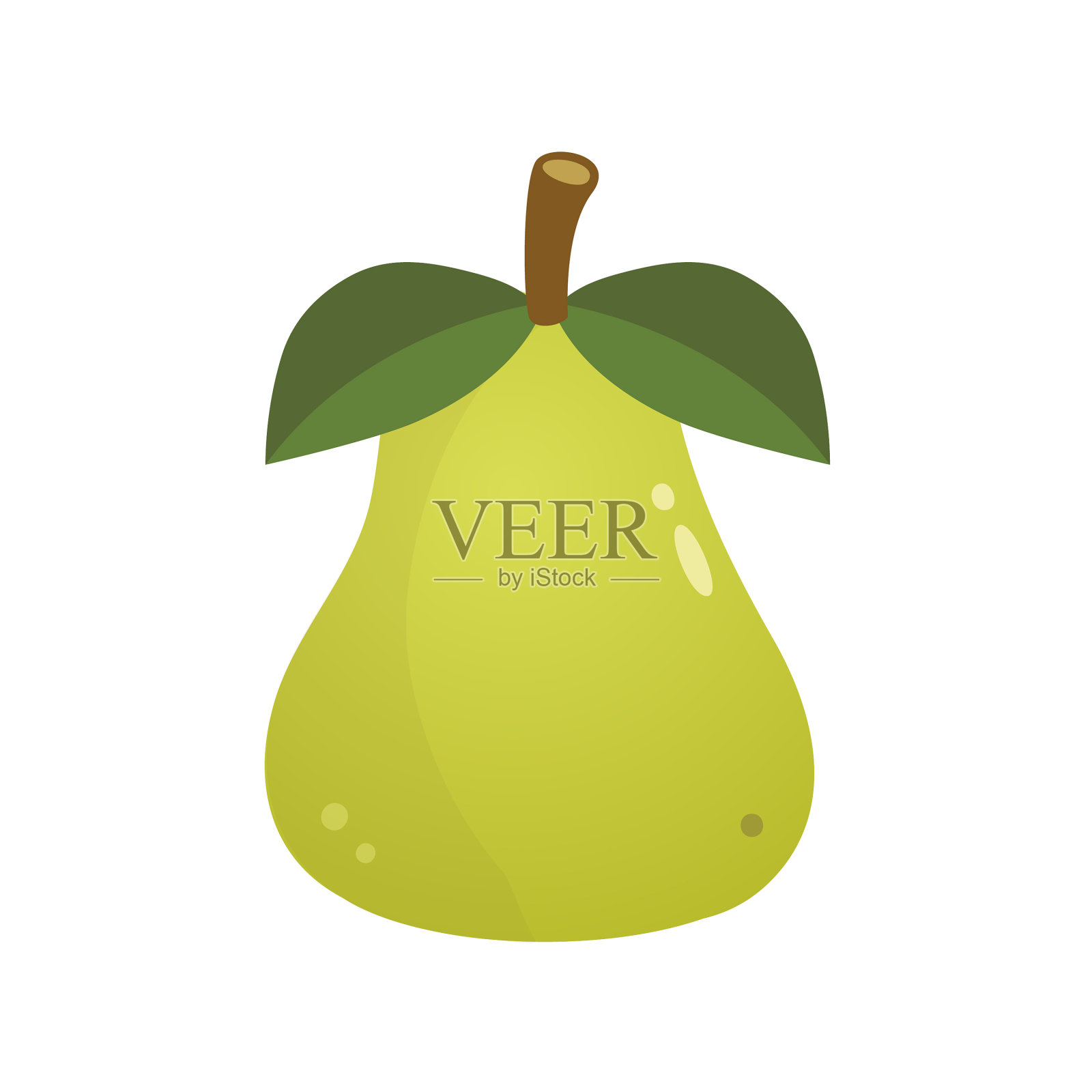 白色背景上的绿梨插画图片素材