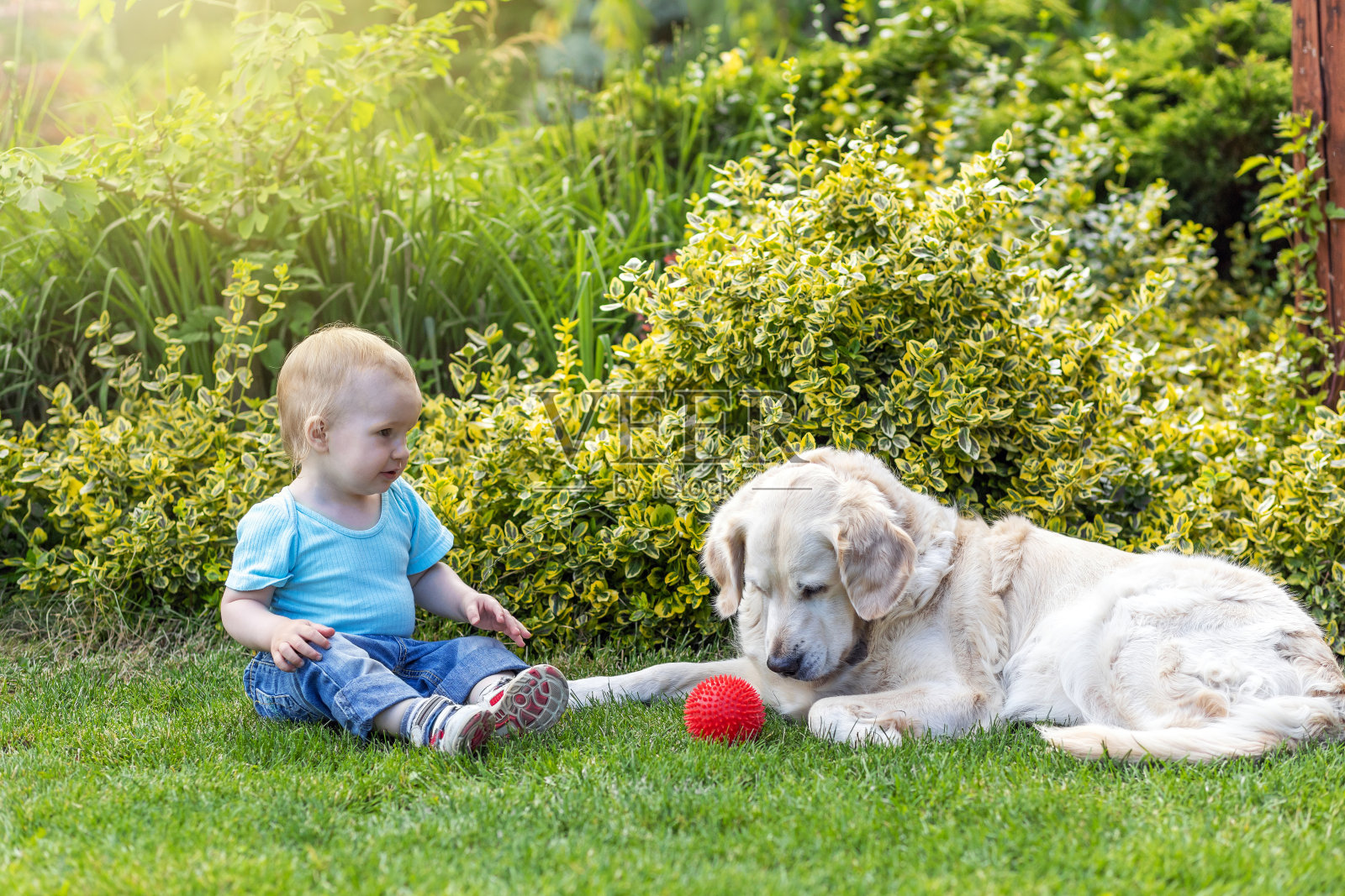 可爱的小男孩在花园里玩红色的宠物玩具和狗。照片摄影图片
