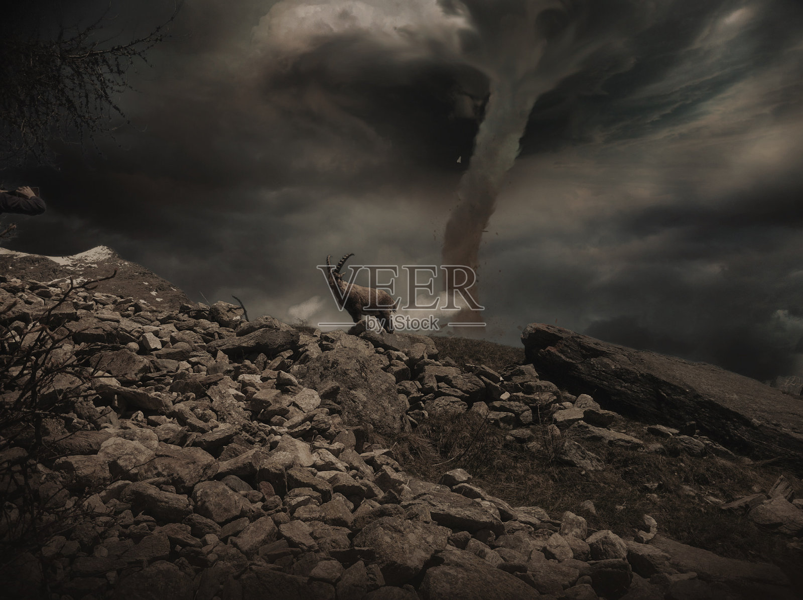 捻线机照片摄影图片