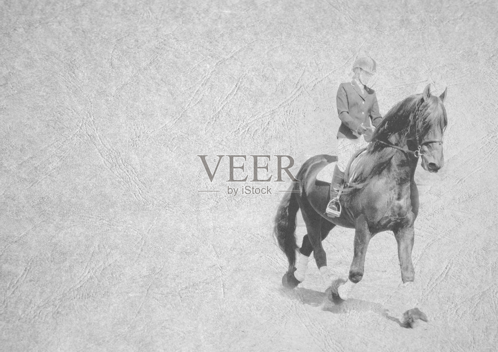 卡片图像大肌肉种马和女盛装舞步骑手照片摄影图片