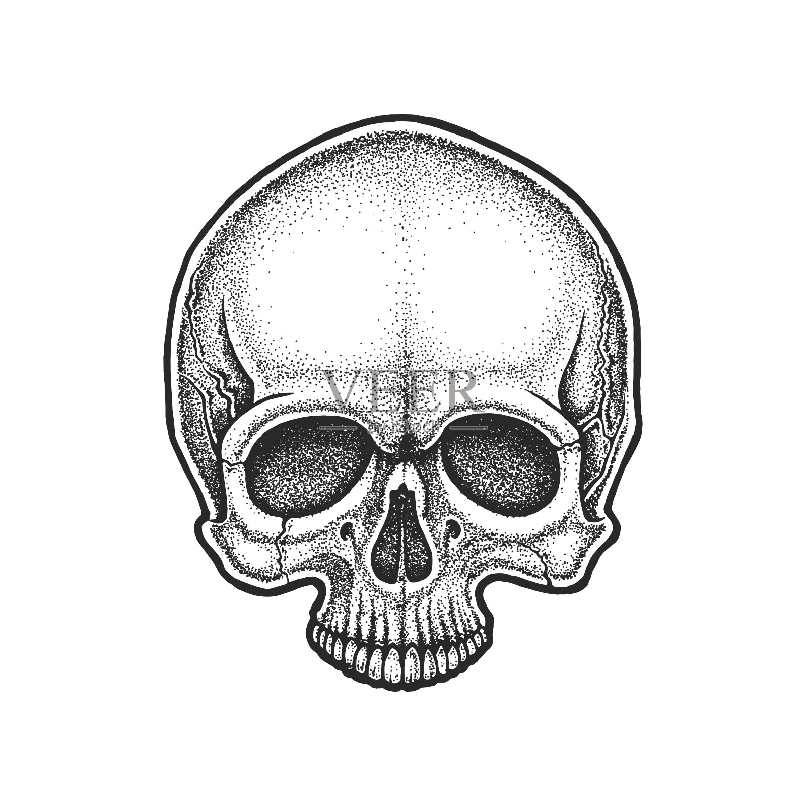 Dotwork风格的头骨。插画图片素材