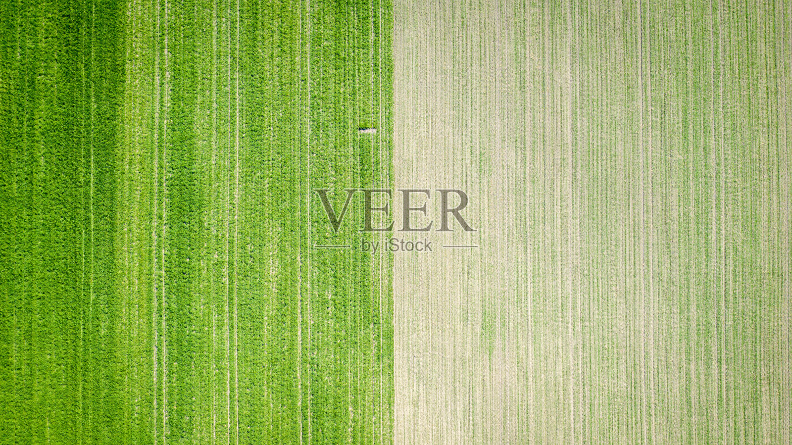 最小的场在上面照片摄影图片