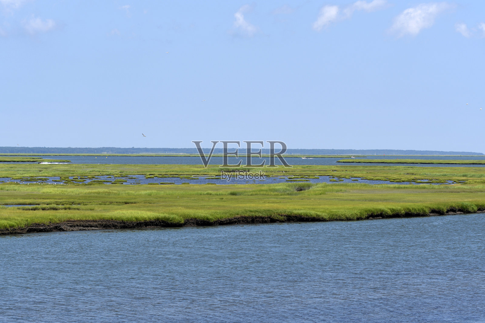 公园和娱乐:第五卷照片摄影图片