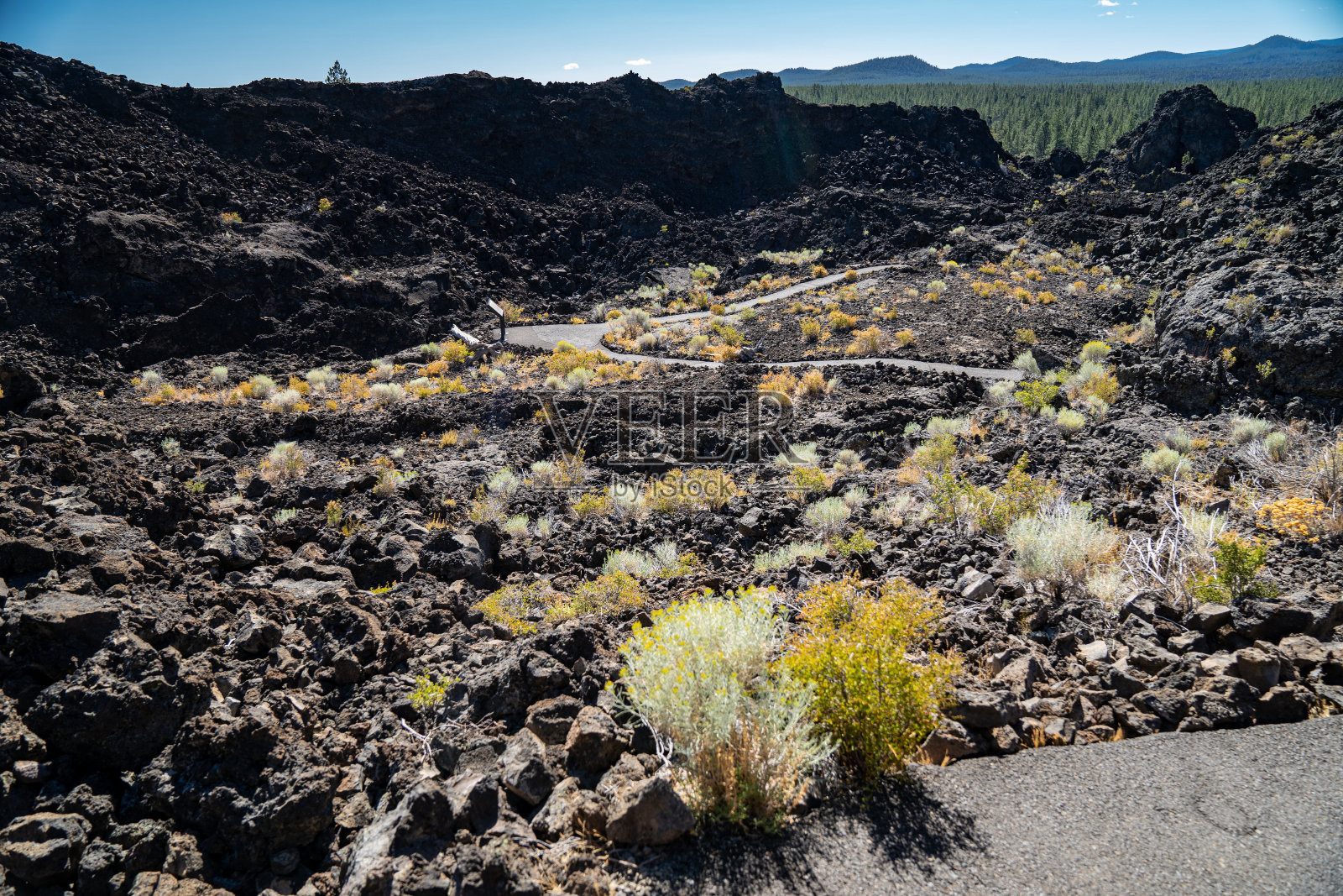 位于本德俄勒冈州的熔岩地国家纪念碑的熔岩地小径上的沙漠植被照片摄影图片