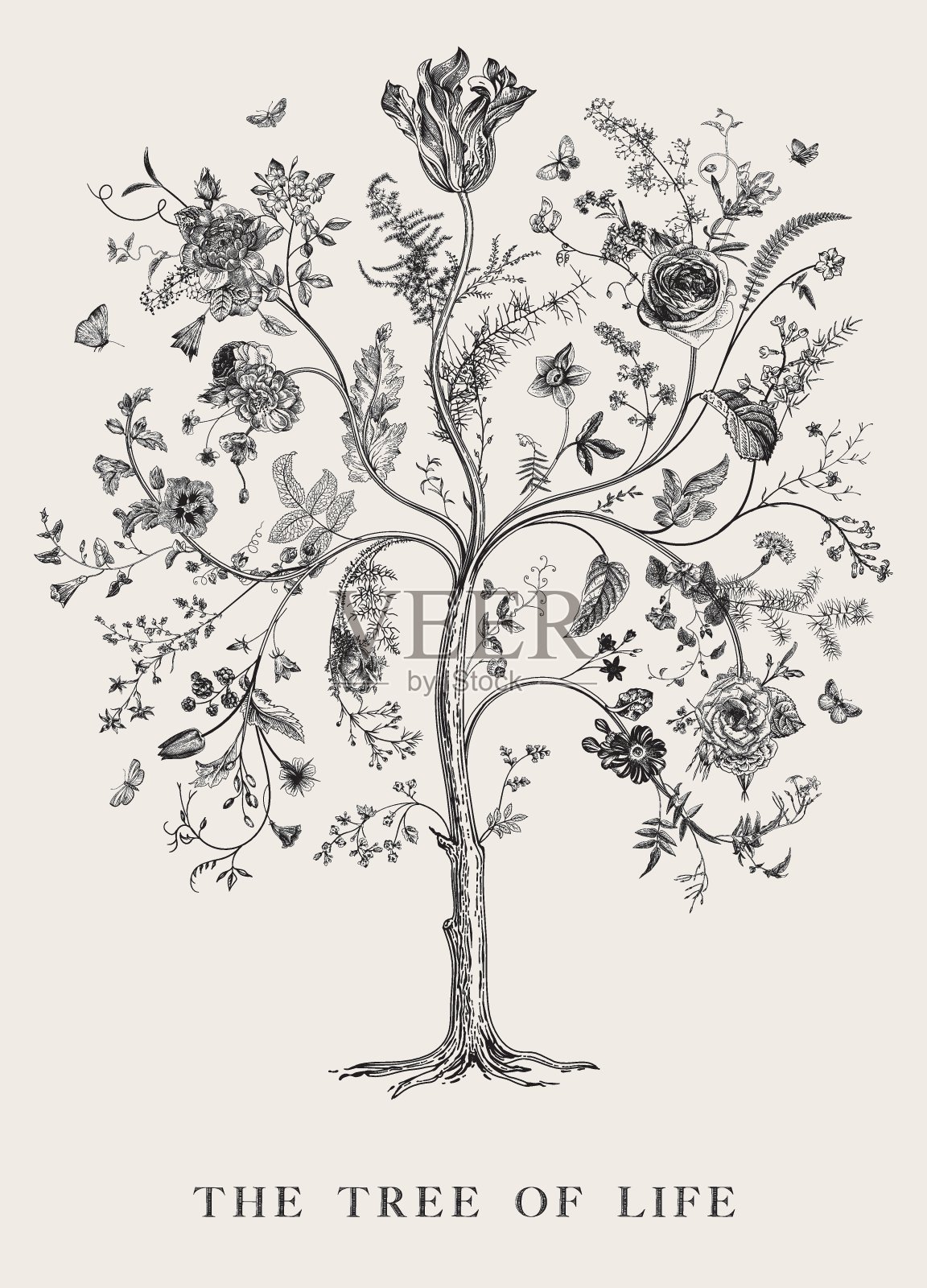 生命之树插画图片素材