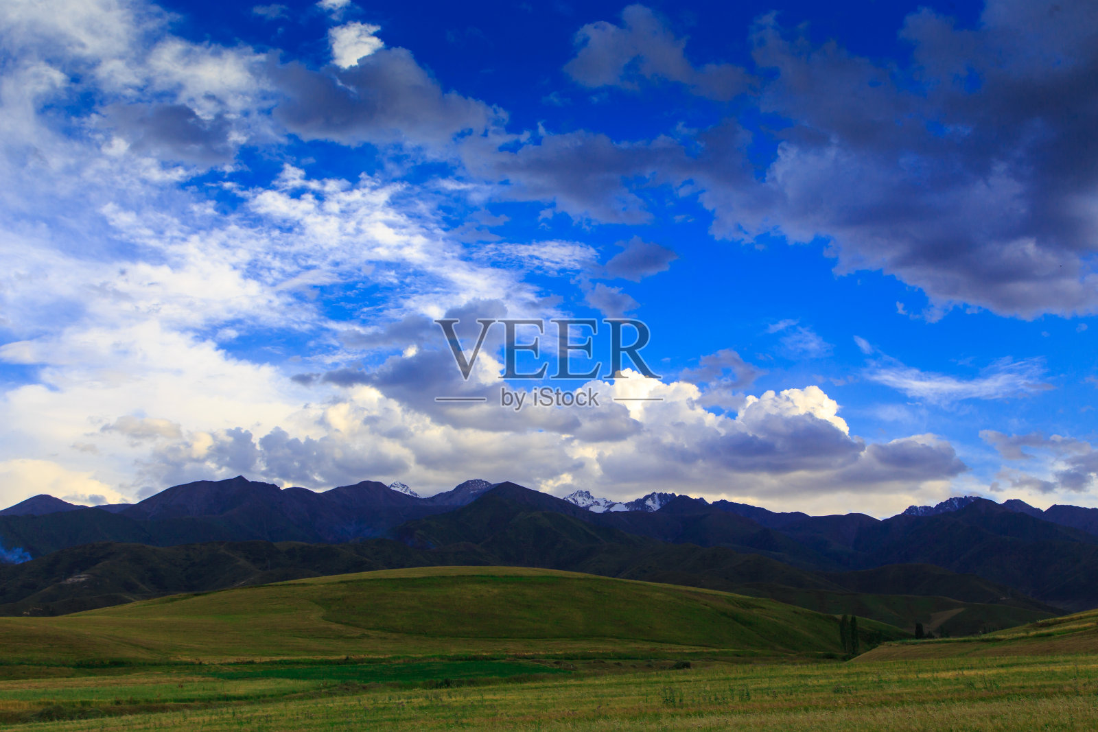 美丽的春夏季风景。郁郁葱葱的绿色山丘。春天盛开的草药。照片摄影图片