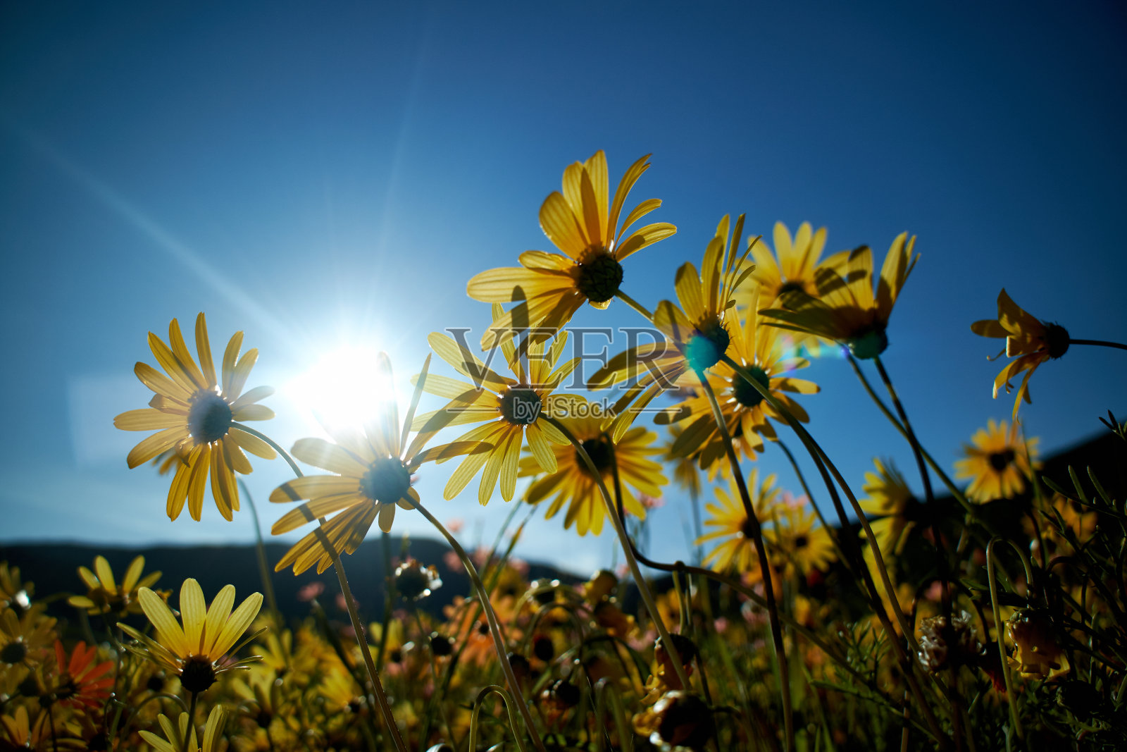 比杜谷 2照片摄影图片