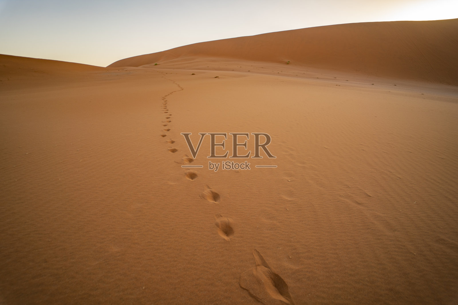 脚印在沙地上照片摄影图片