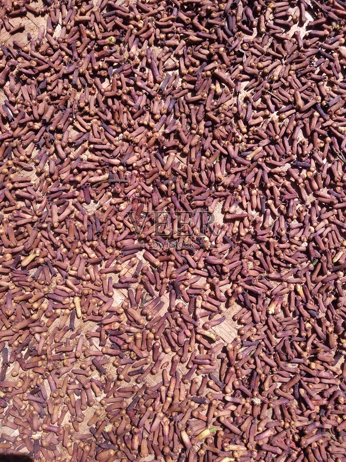 丁香照片摄影图片