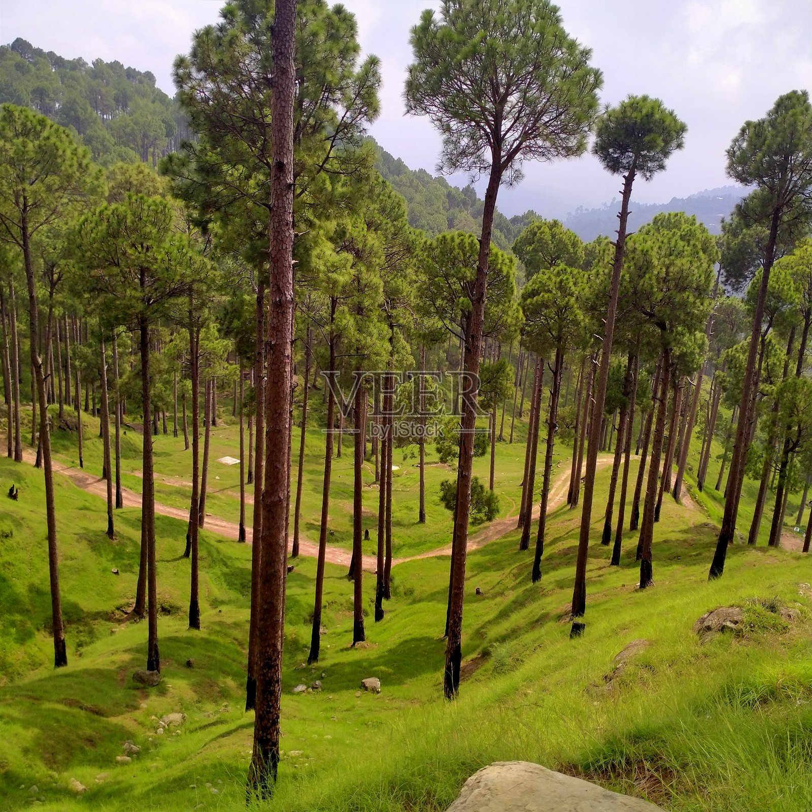 美丽的巴基斯坦照片摄影图片