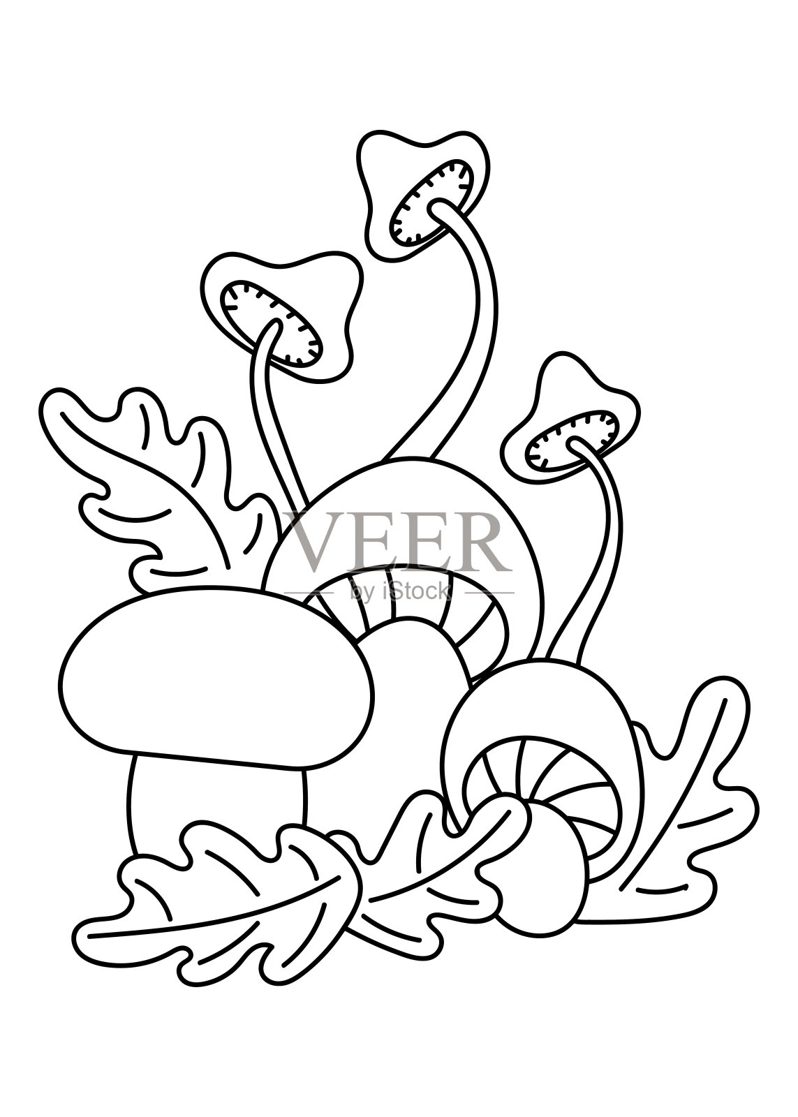 蘑菇和树叶,涂鸦插图。图画书模板,卡片。黑白图案插画图片素材