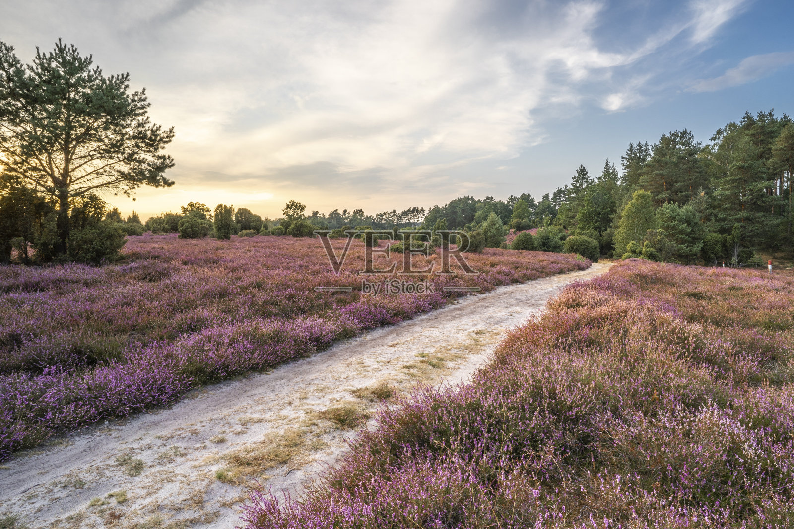 吕内堡石南的风景照片摄影图片