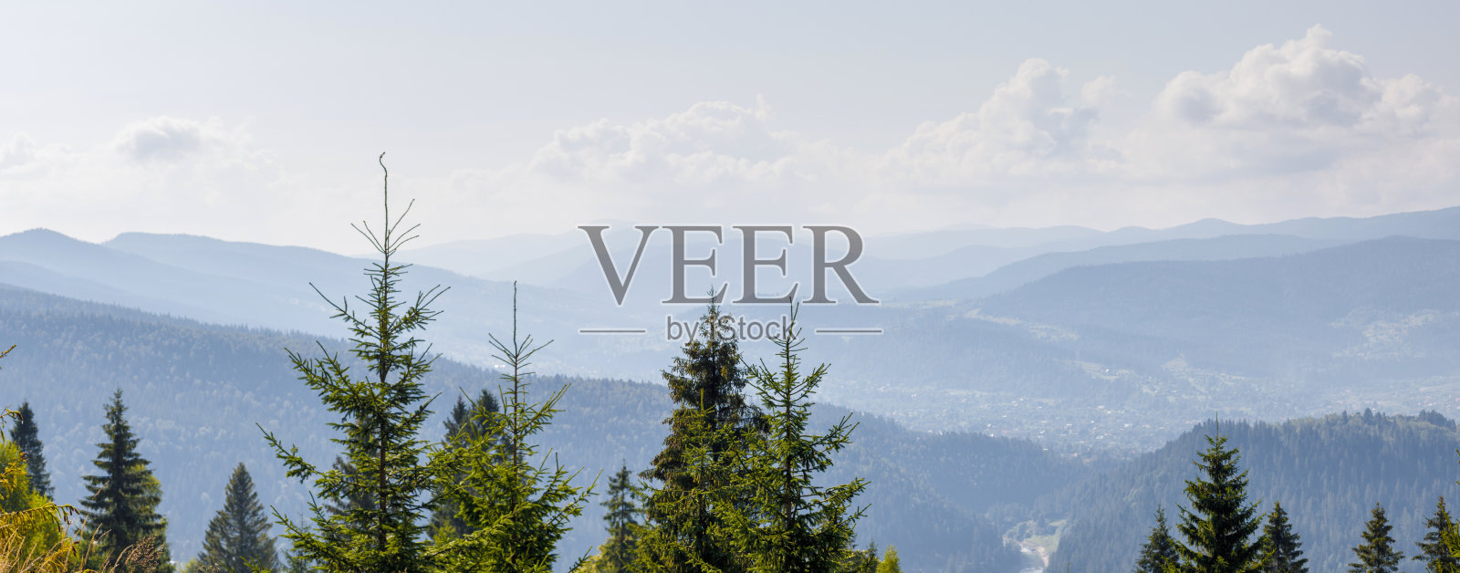 森林树木和山脉的全景。照片摄影图片