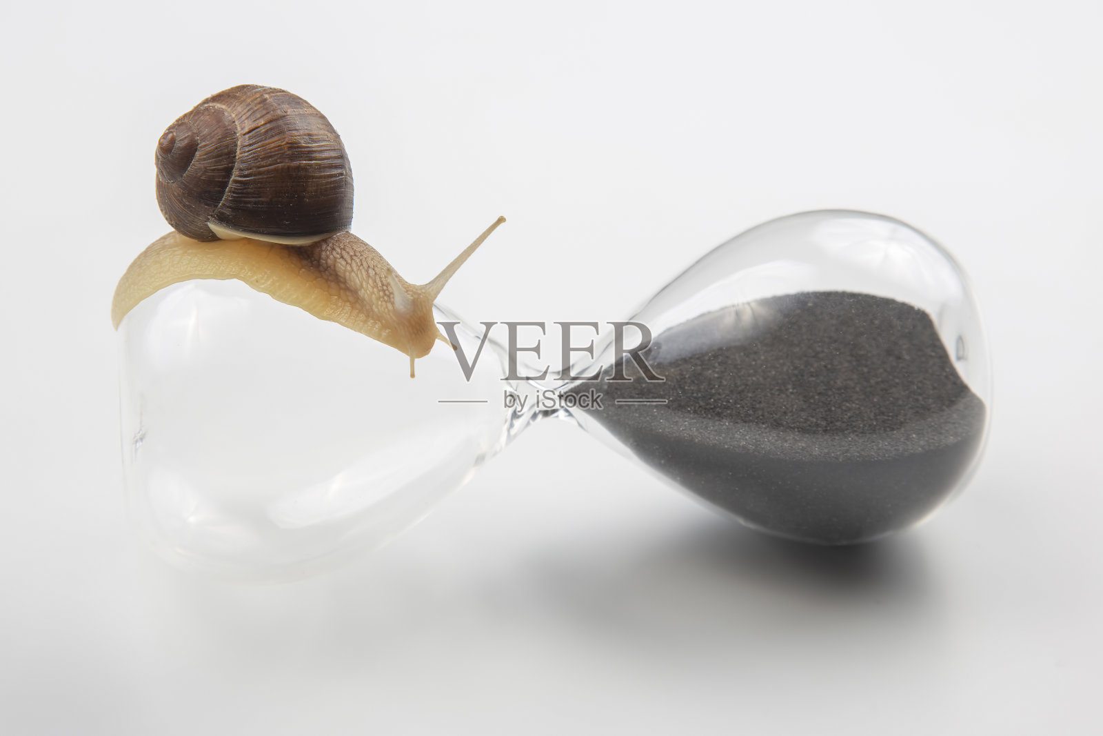 蜗牛在沙漏上爬行。时间和稳定性。时间的短暂和选择成功的迟缓。生命的循环照片摄影图片