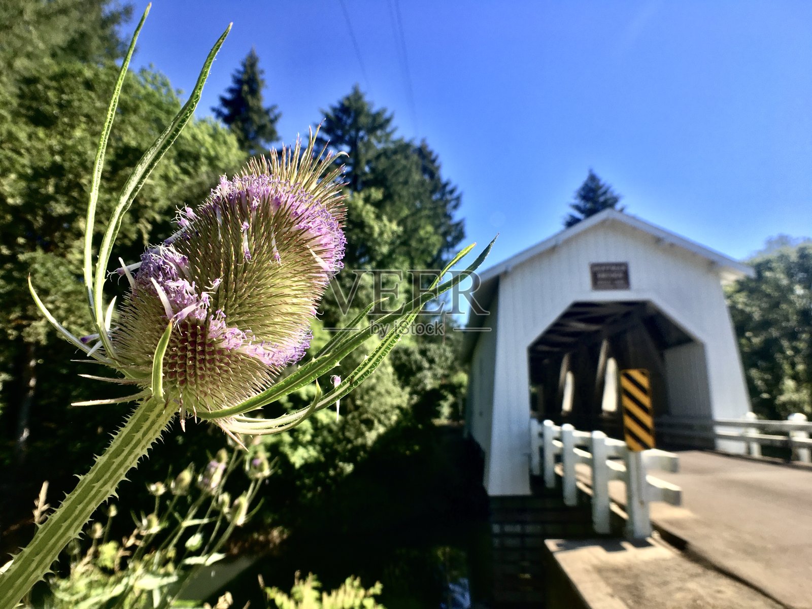 霍夫曼盖在克莱布特里溪的桥1936年照片摄影图片