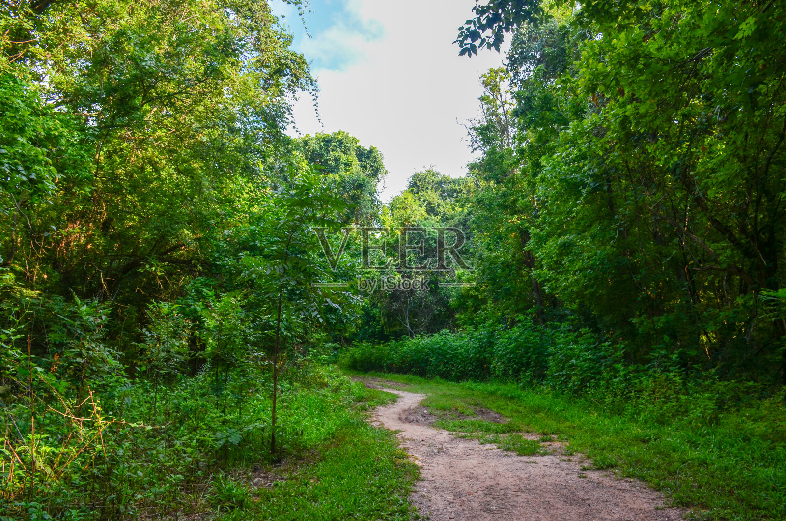 2020年8月,美国德克萨斯州糖地的约瑟夫和露西·卡利南公园保护协会。照片摄影图片