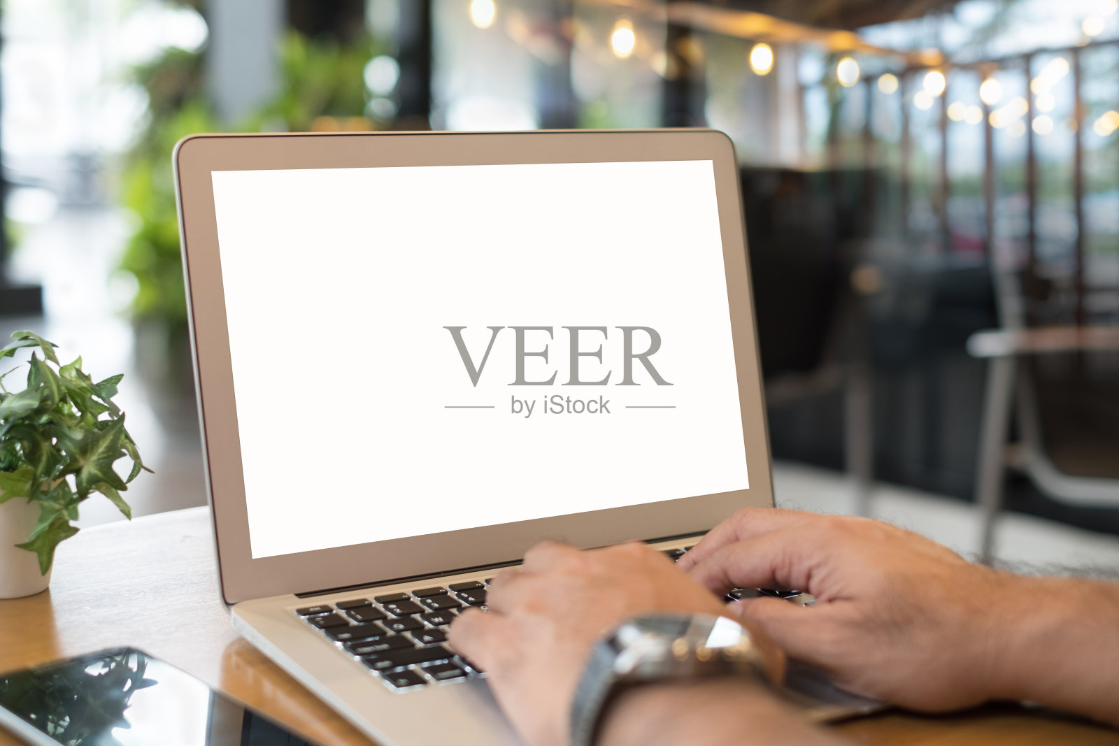 使用笔记本电脑的女性照片摄影图片