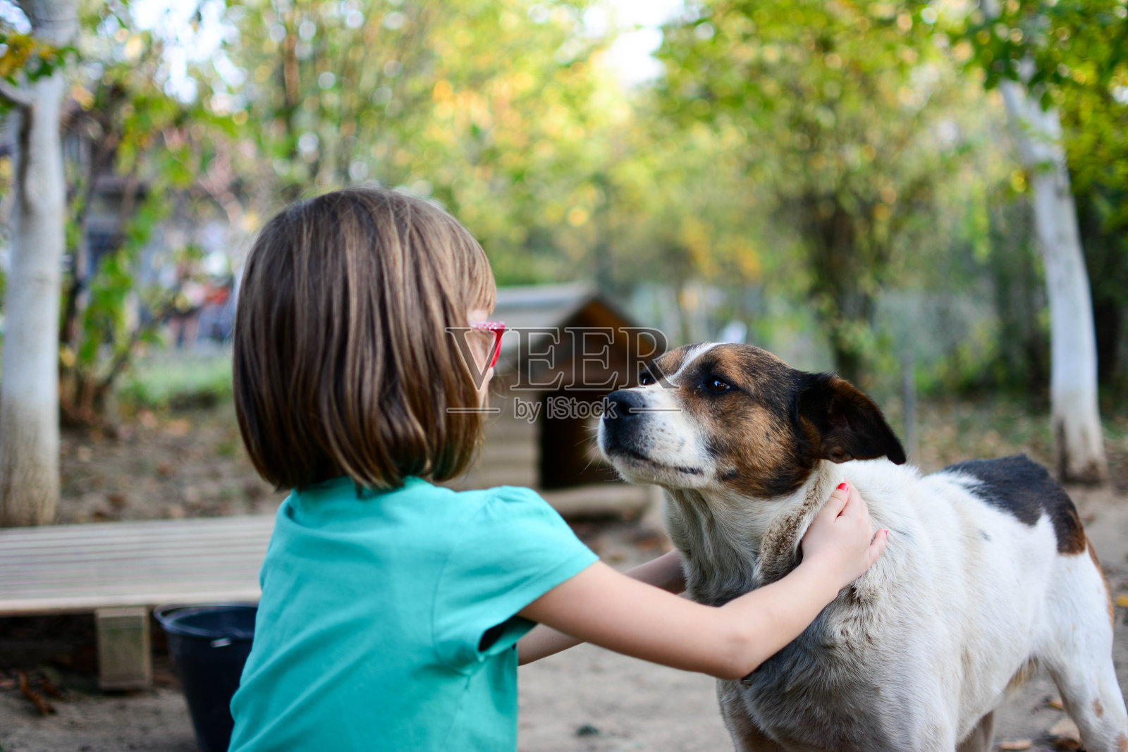 可爱的小女孩和狗。照片摄影图片