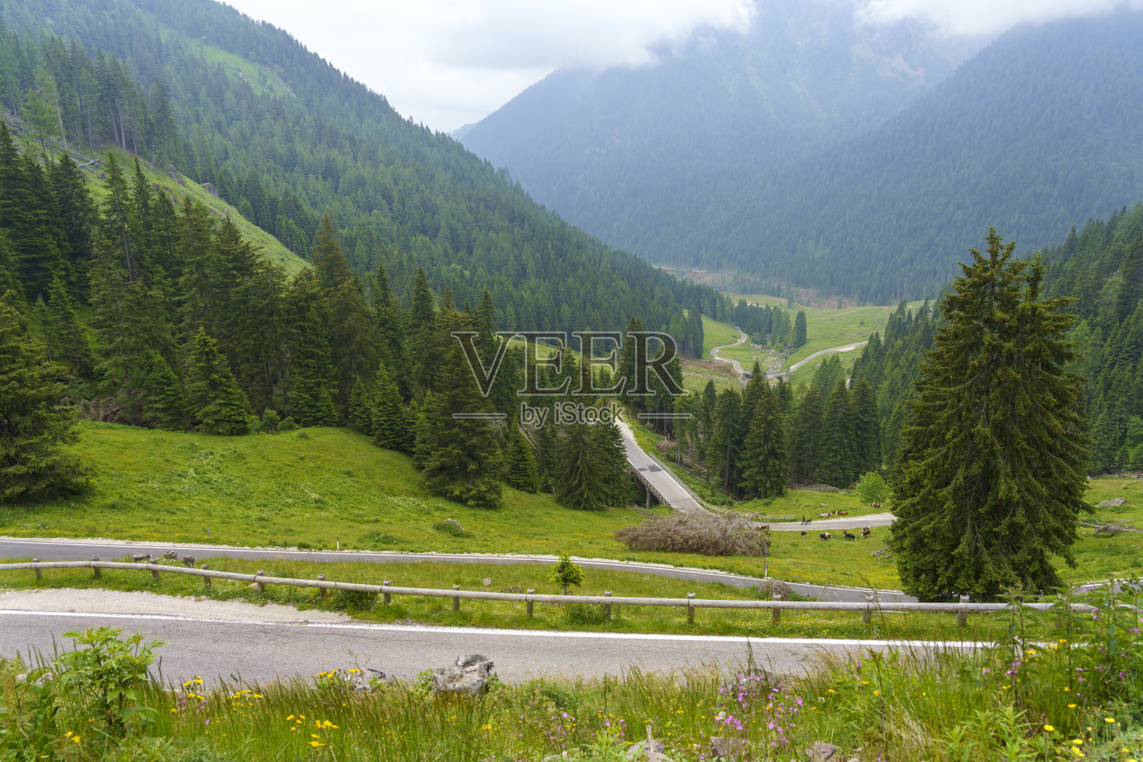 风景沿着路到芒根关口照片摄影图片
