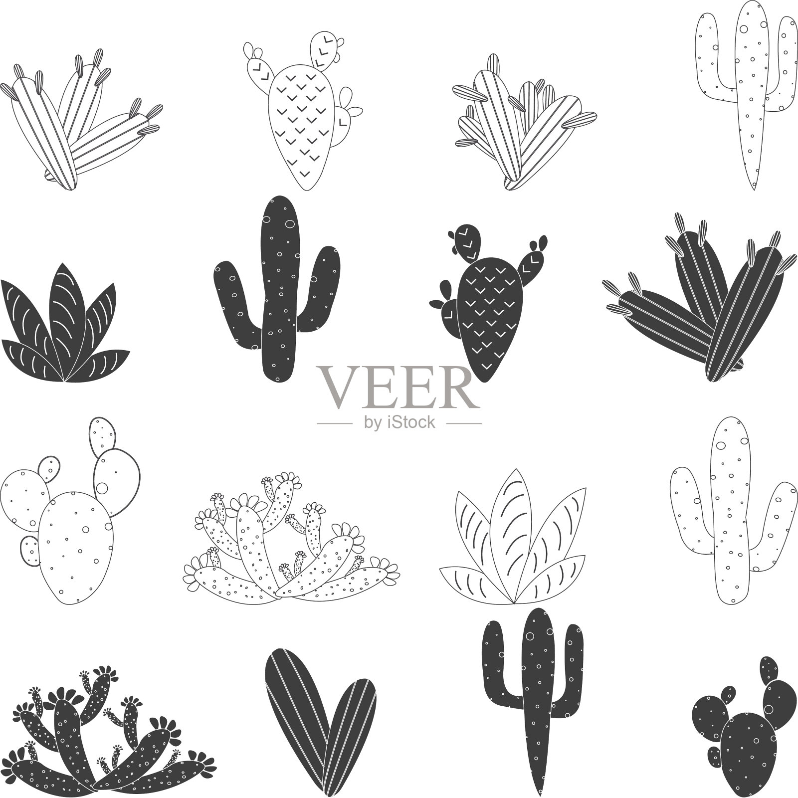 仙人掌cr m / w插画图片素材