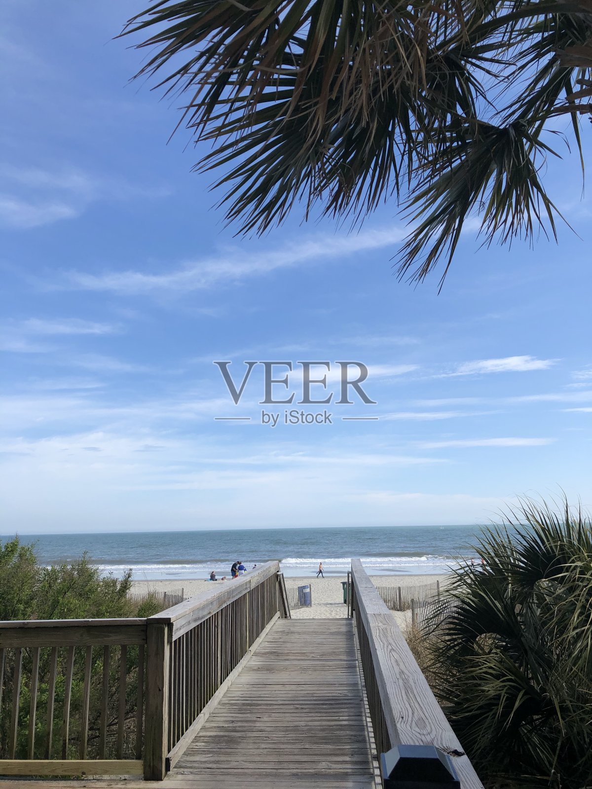 桃金娘海滩,数控照片摄影图片