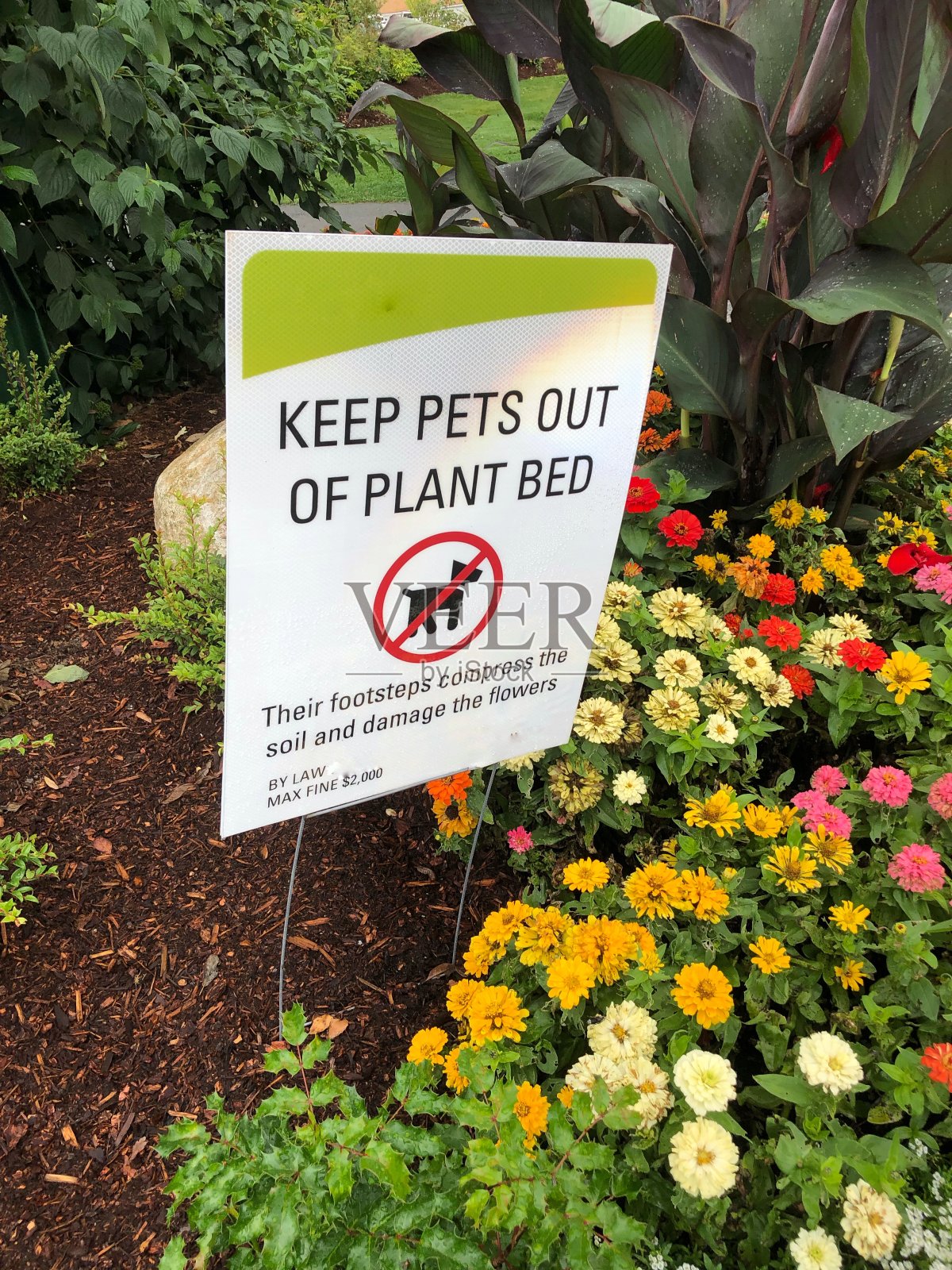 让宠物远离植物标志照片摄影图片