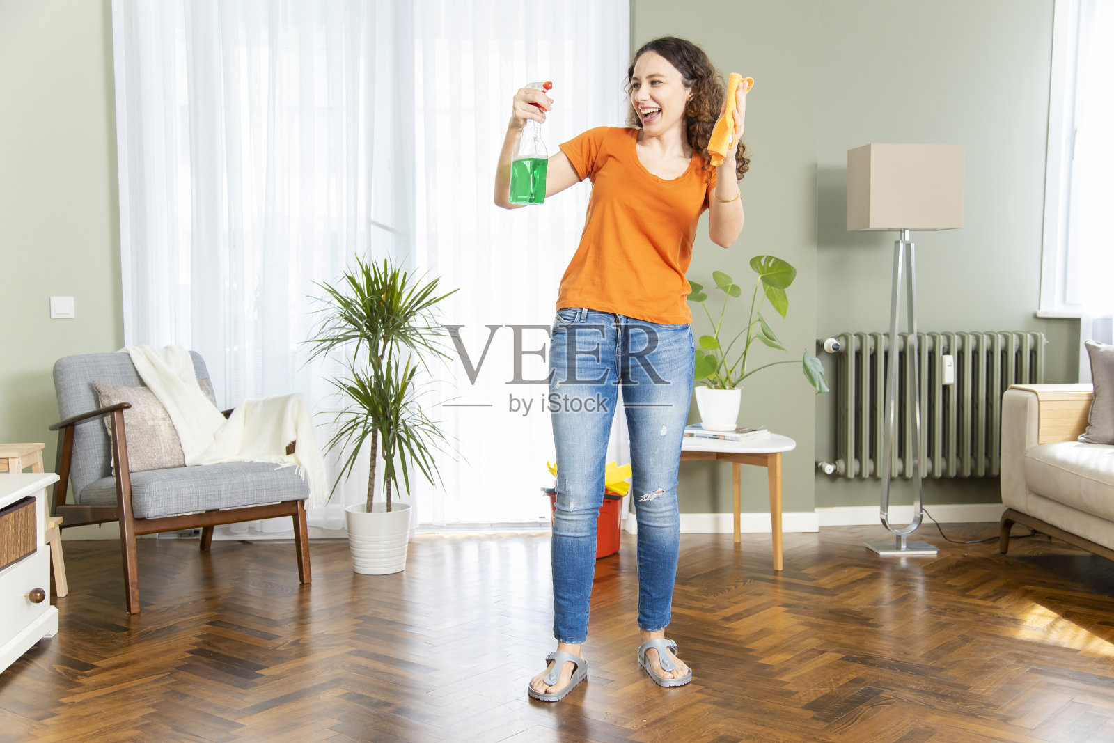 快乐的家庭主妇拿着抹布喷瓶清洁剂打扫房间照片摄影图片