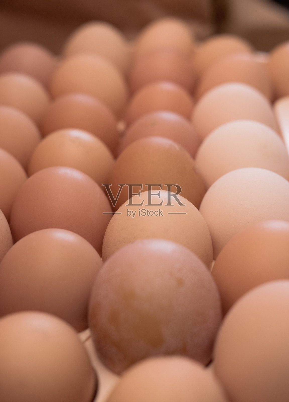 一个塑料托盘,里面有很多鸡蛋。照片摄影图片