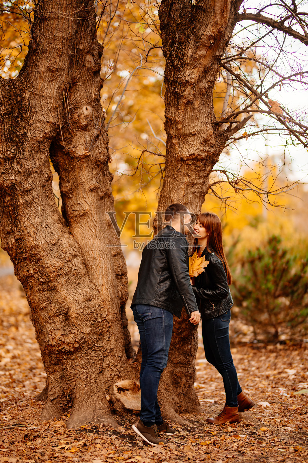 一男一女站在秋天公园的树旁。照片摄影图片