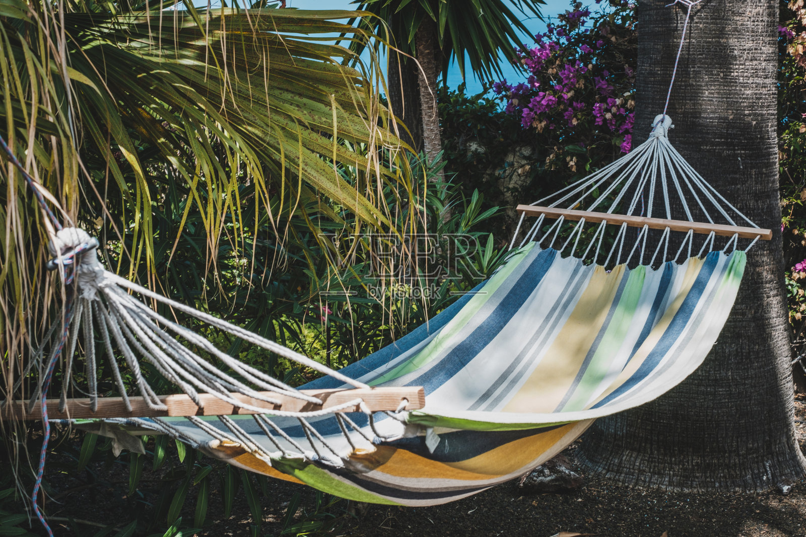 棕榈树间的吊床-度假概念照片摄影图片