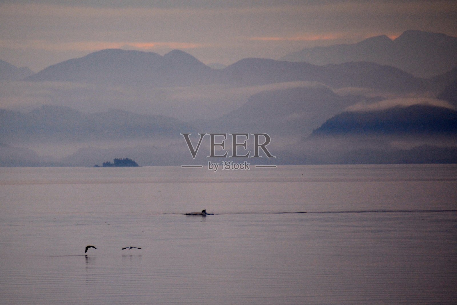 夏洛特女王海峡照片摄影图片