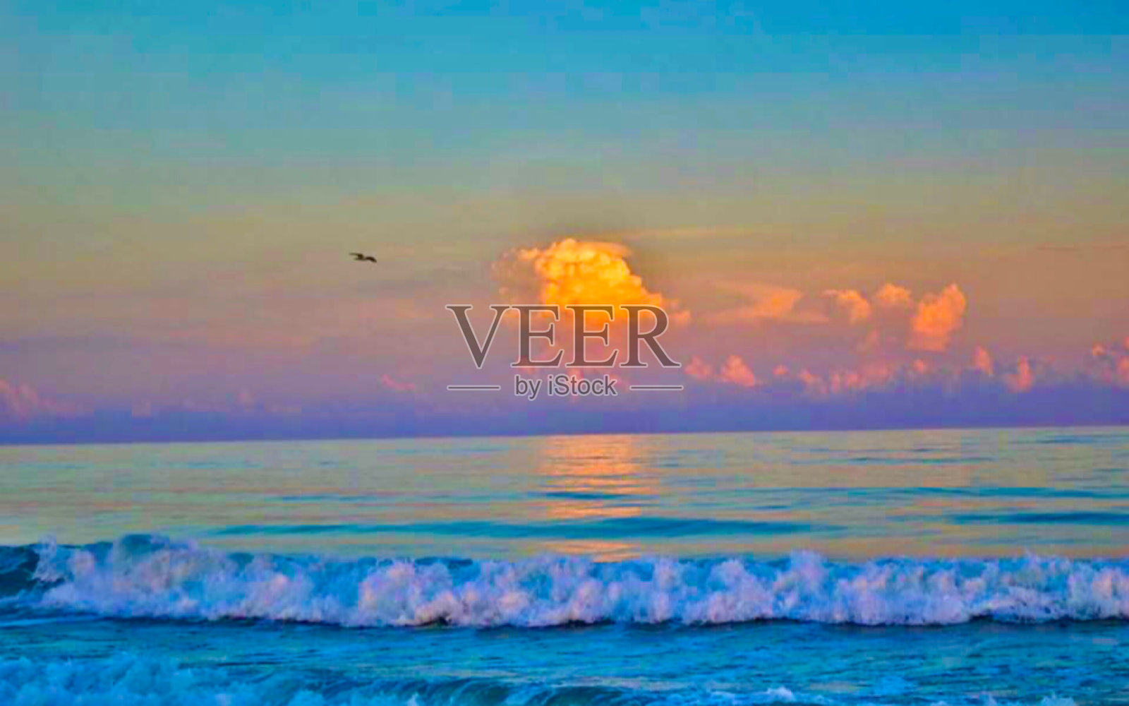 紫色的影子照片摄影图片