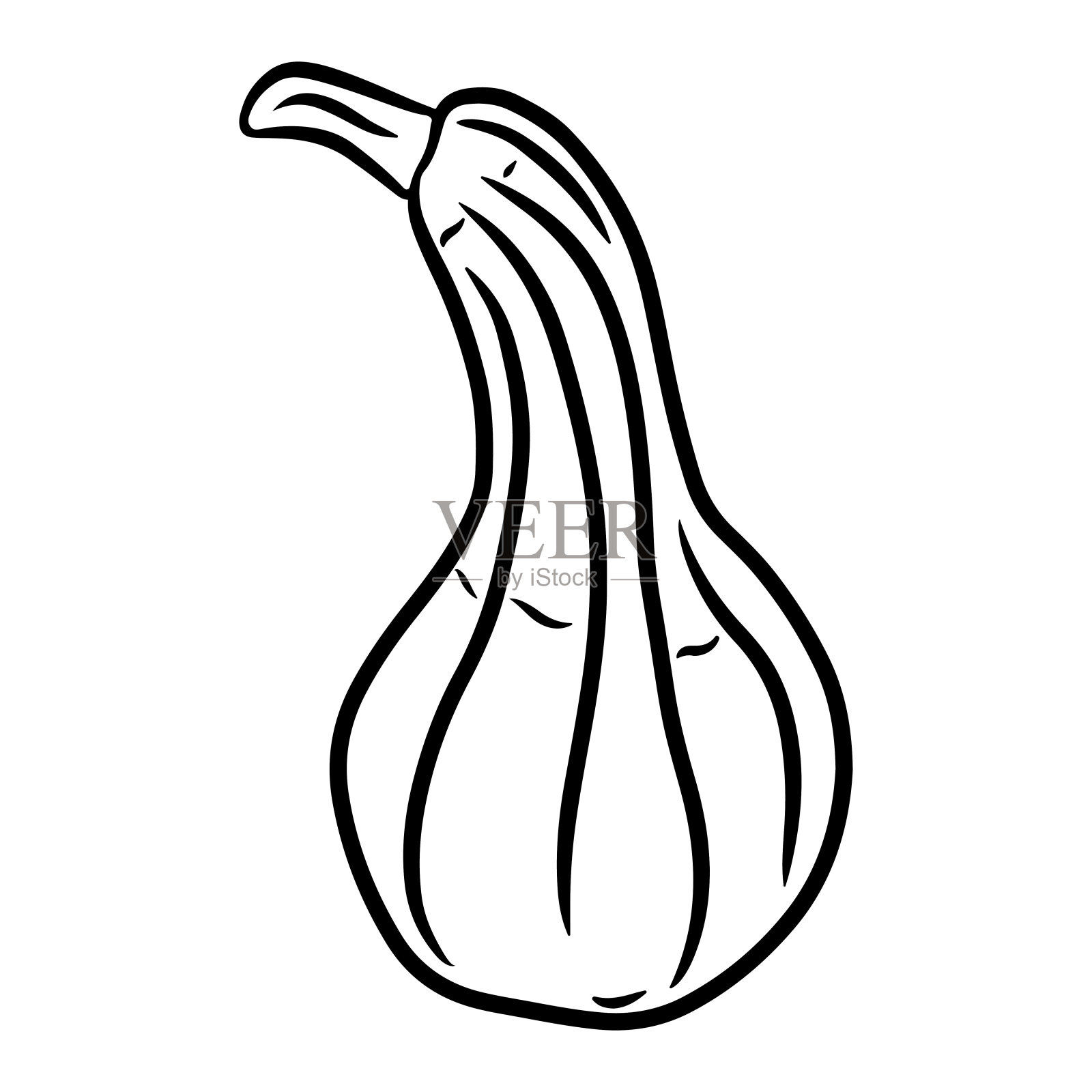 南瓜。插画图片素材