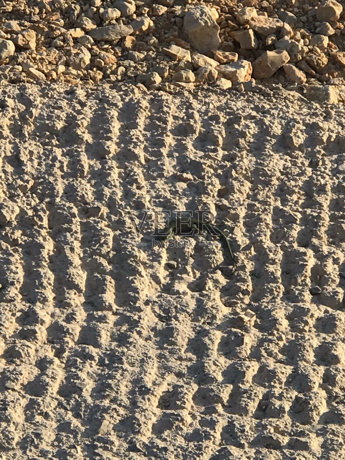 卡布雷拉岛。西班牙。照片摄影图片