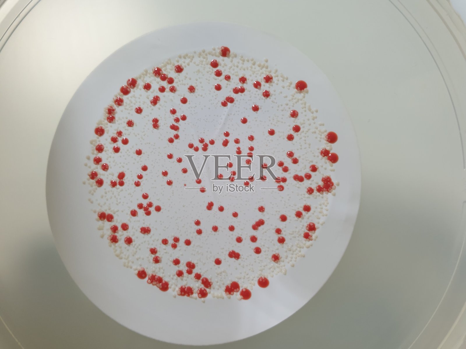 纯净水、注射用水微生物检测结果照片摄影图片