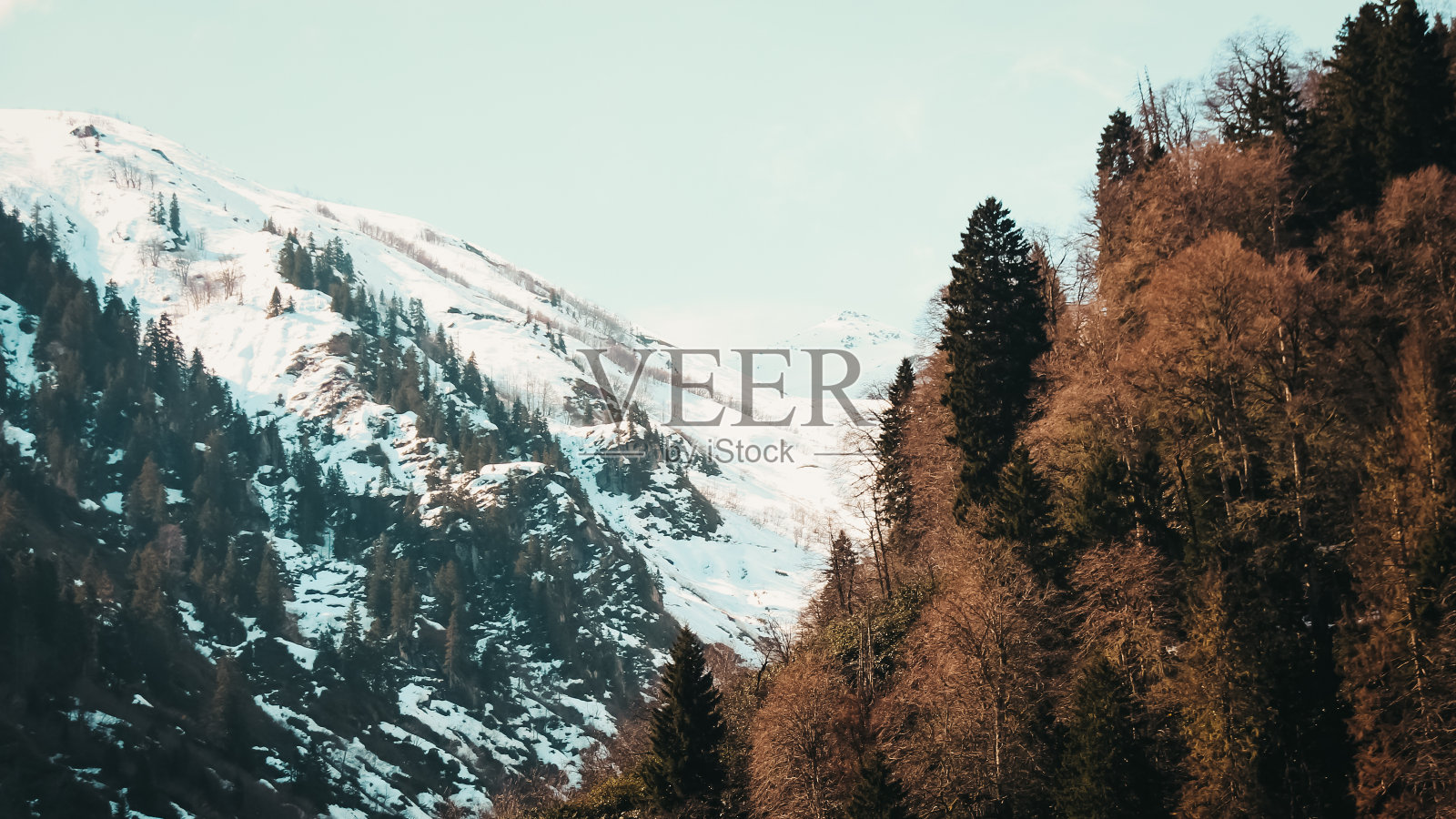 秋天的山景。冬天来临前的森林和山脉景色。照片摄影图片