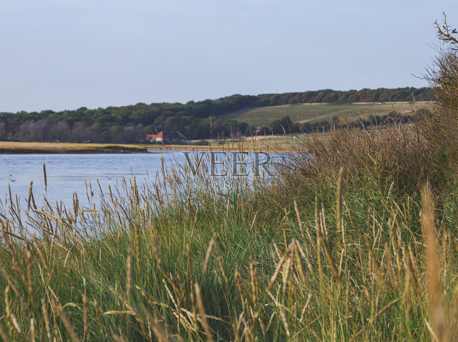 七姐妹郊野公园,Cuckmere Haven,东苏塞克斯,英国照片摄影图片