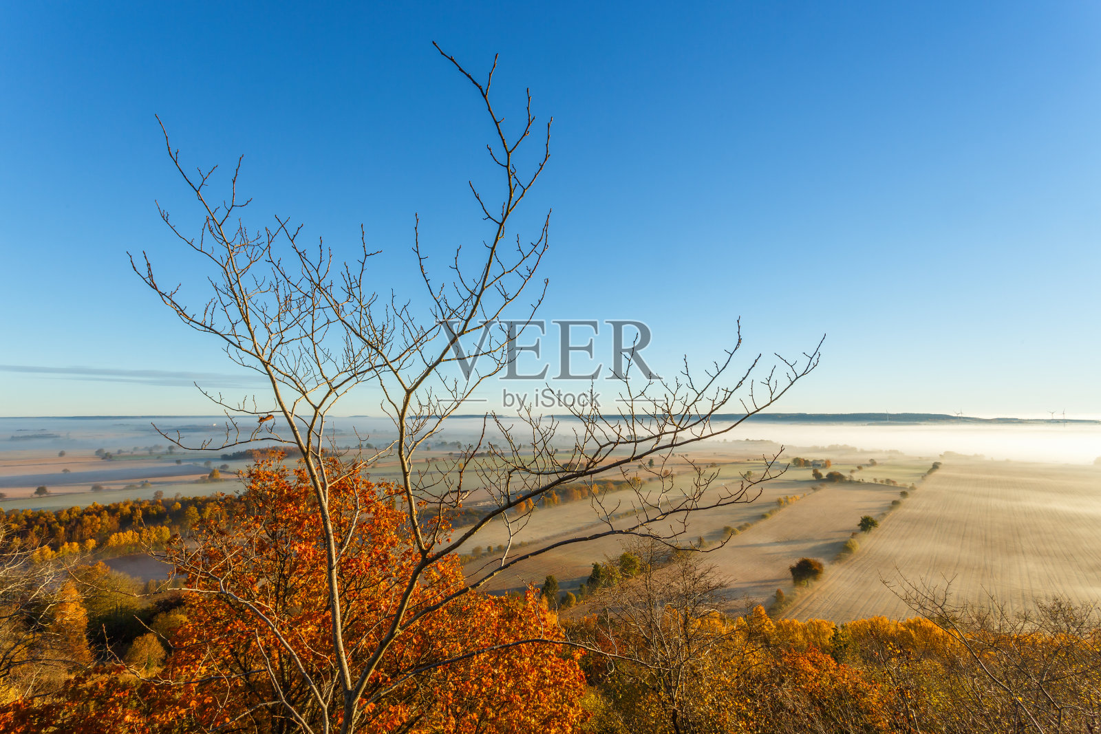 一个农业景观与秋天的颜色照片摄影图片