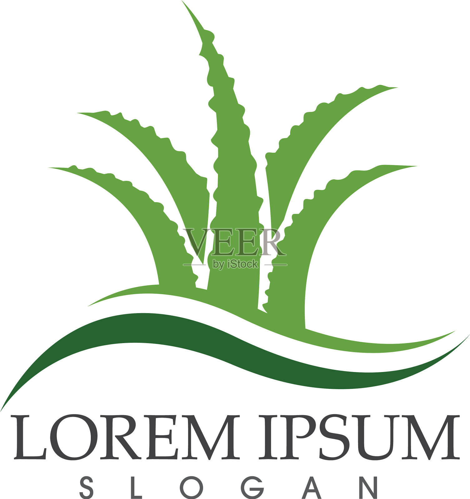 芦荟设计插画图片素材