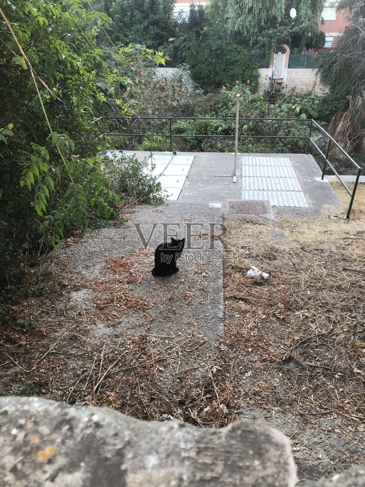 马略卡岛。巴利阿里群岛。西班牙。阿雷纳海滩。照片摄影图片