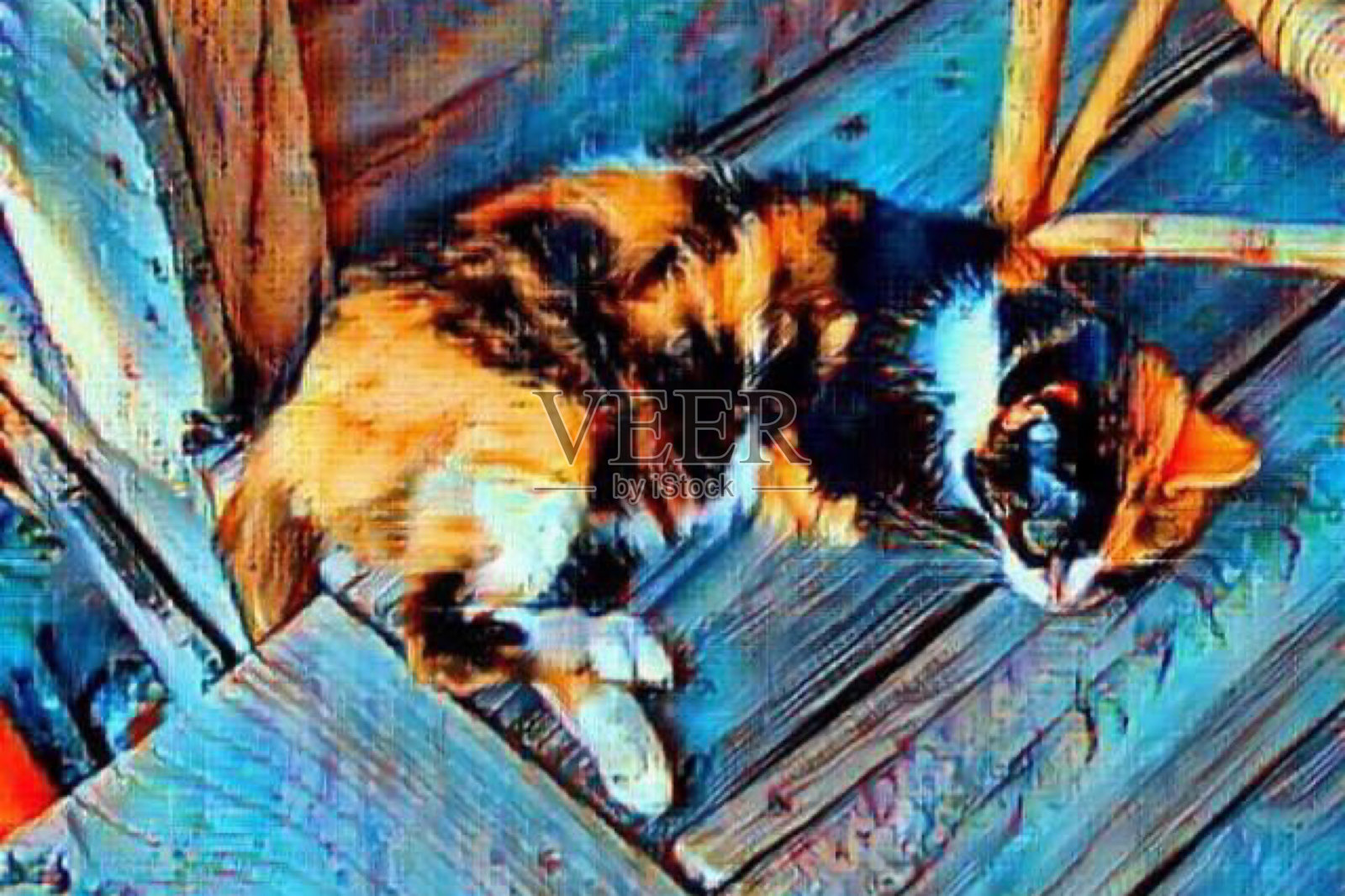 印花棉布的照片摄影图片