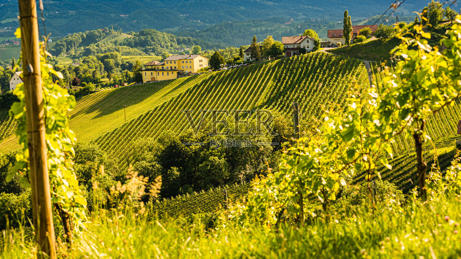 斯蒂里亚南部美丽的奥地利葡萄园景观。著名的托斯卡纳喜欢参观的地方。照片摄影图片