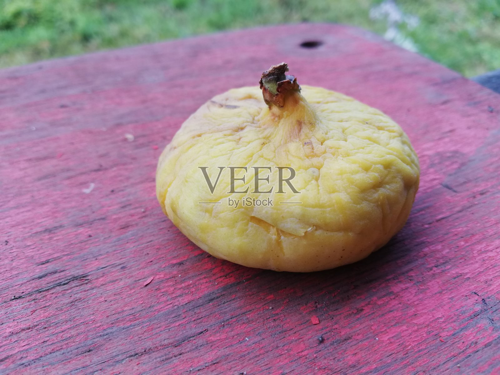 无花果照片摄影图片